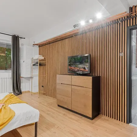 Charming Studio In Center Apartment Bucharest
